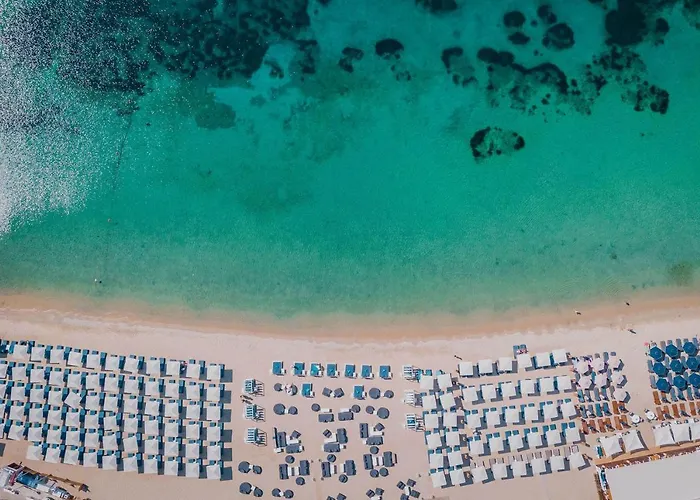 Adorno And Ξενοδοχείο