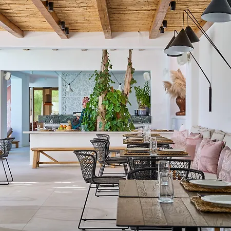 Adorno And オルノス