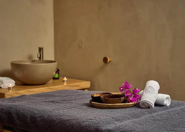 Hotel Adorno Hotel&suites Ornos (Mykonos)